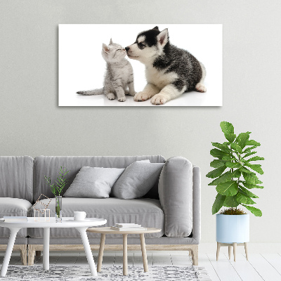 Tableau imprimé sur toile Chien et chat