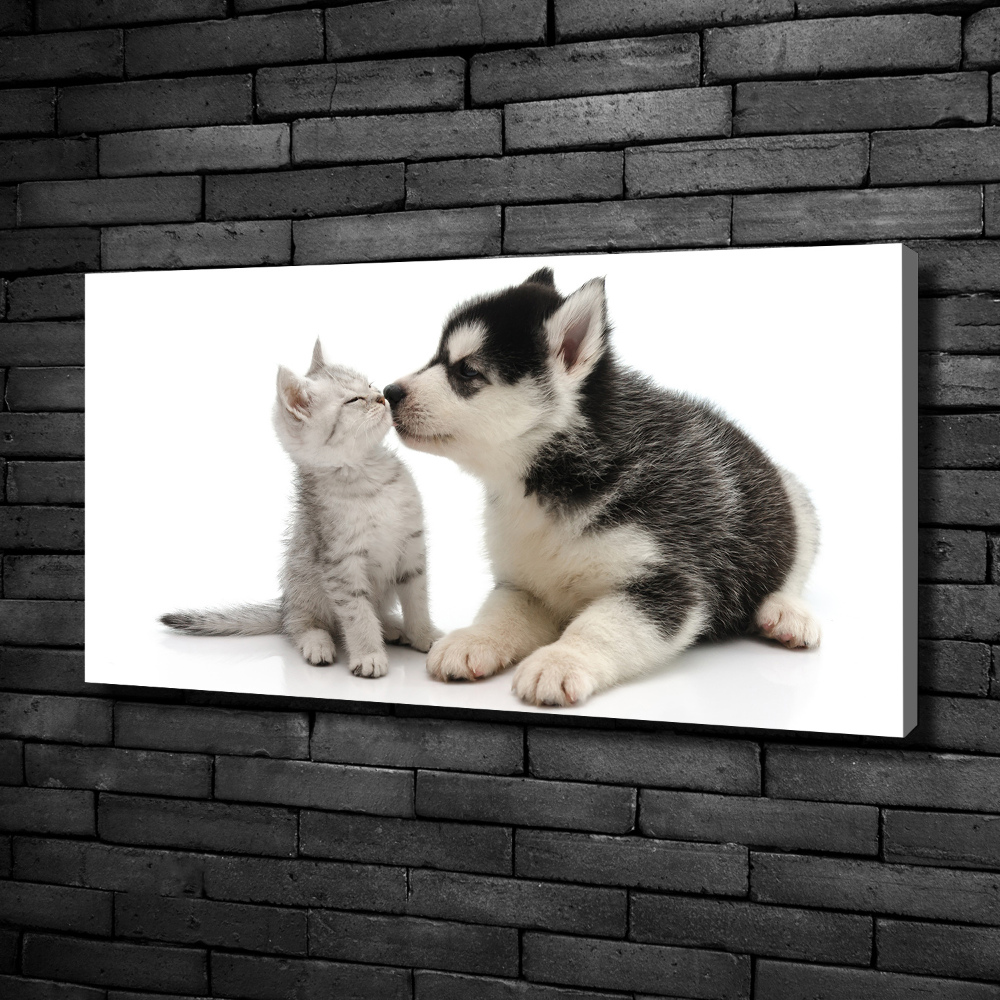 Tableau imprimé sur toile Chien et chat