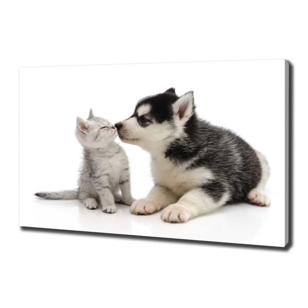 Tableau imprimé sur toile Chien et chat