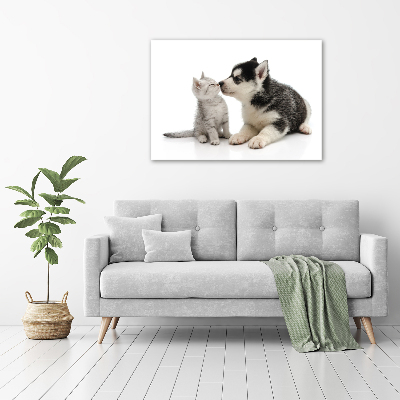 Tableau imprimé sur toile Chien et chat