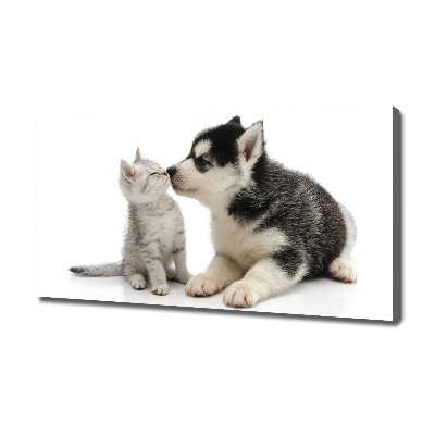 Tableau imprimé sur toile Chien et chat