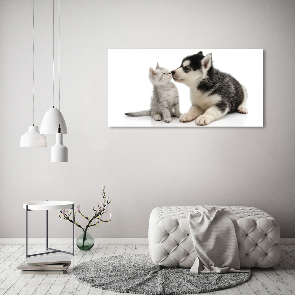 Tableau imprimé sur toile Chien et chat