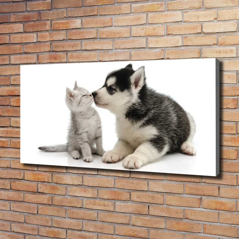 Tableau imprimé sur toile Chien et chat