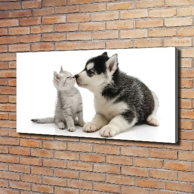 Tableau imprimé sur toile Chien et chat