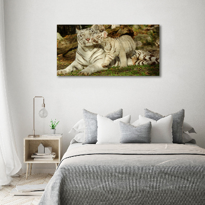 Tableau toile imprimée Tigres