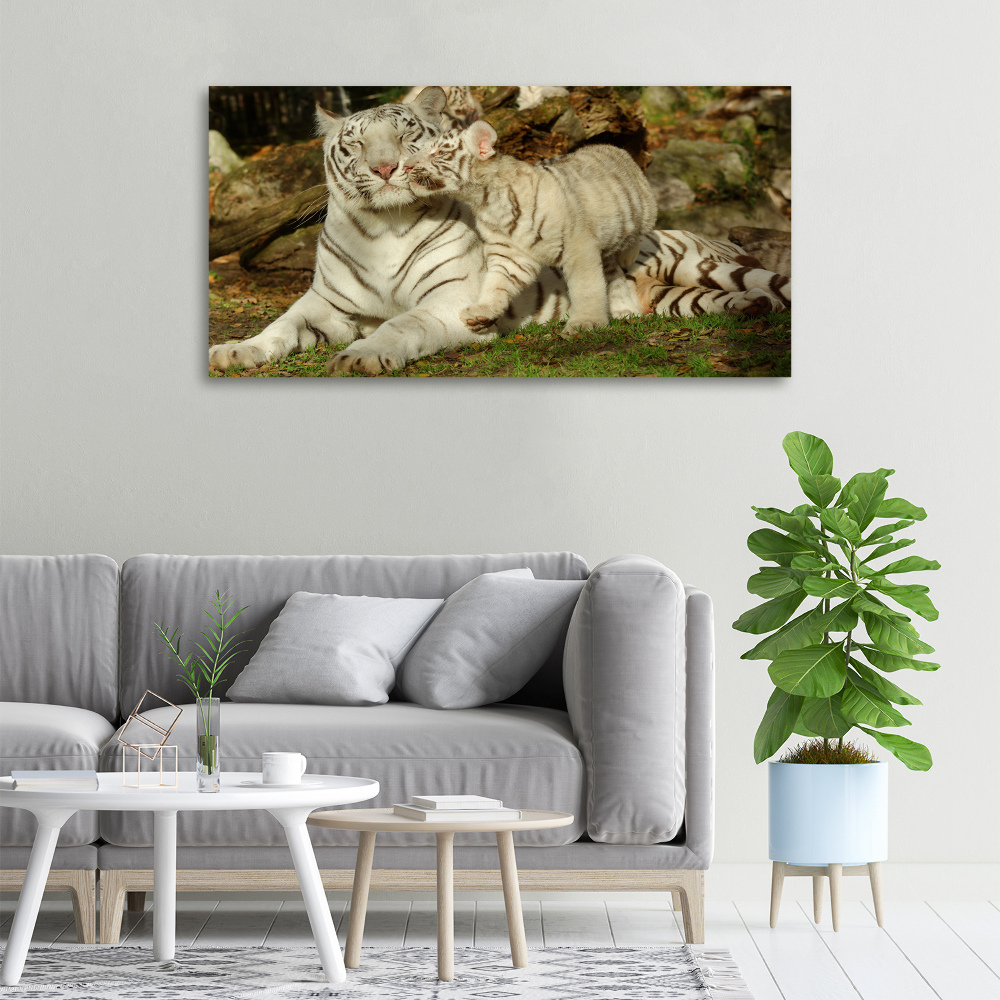 Tableau toile imprimée Tigres