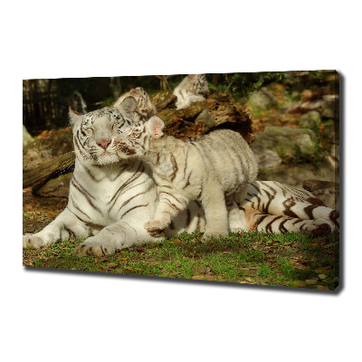 Tableau toile imprimée Tigres