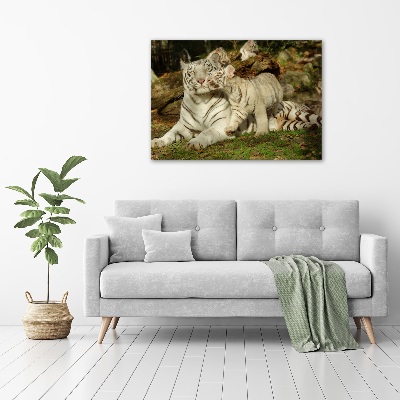 Tableau toile imprimée Tigres