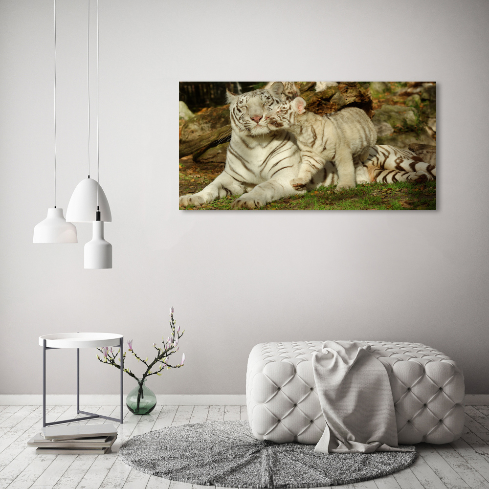 Tableau toile imprimée Tigres