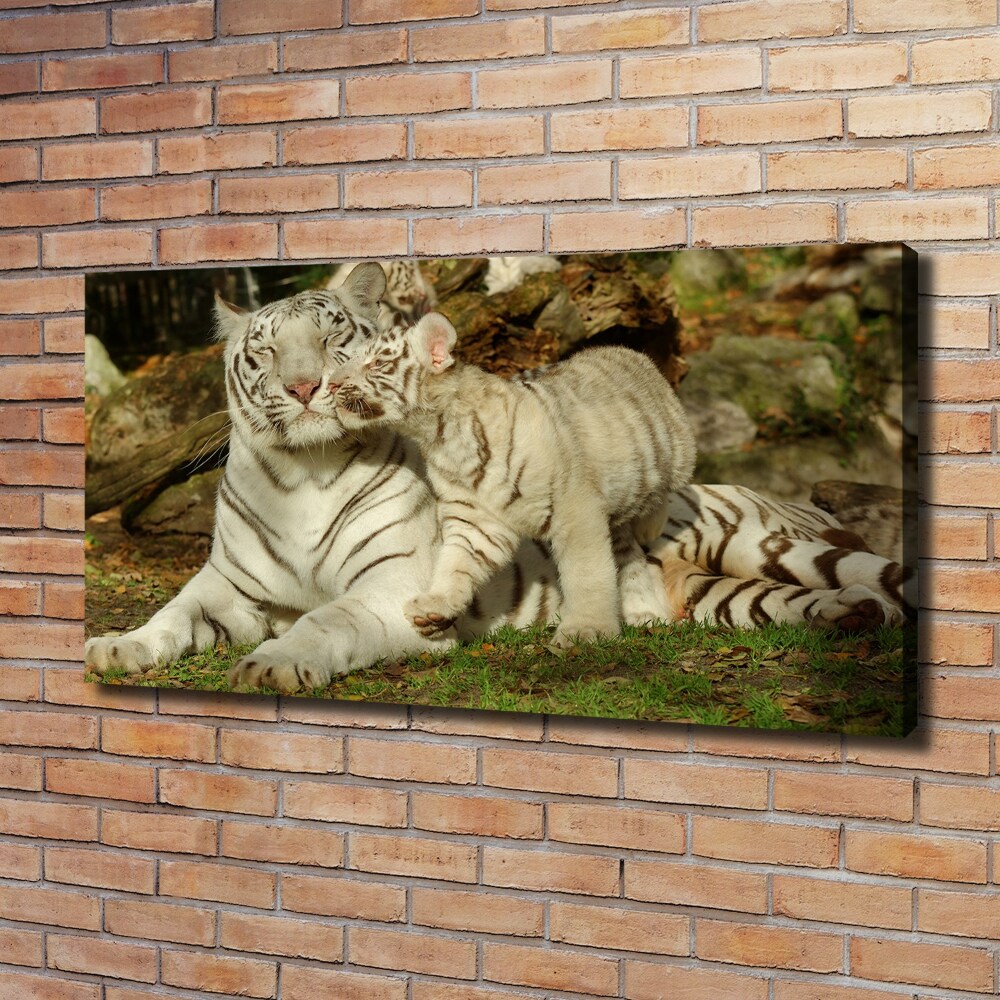 Tableau toile imprimée Tigres