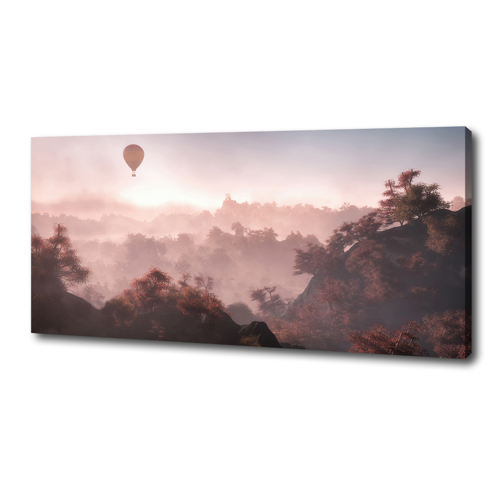 Tableau mural sur toile Ballon au-dessus de la forêt