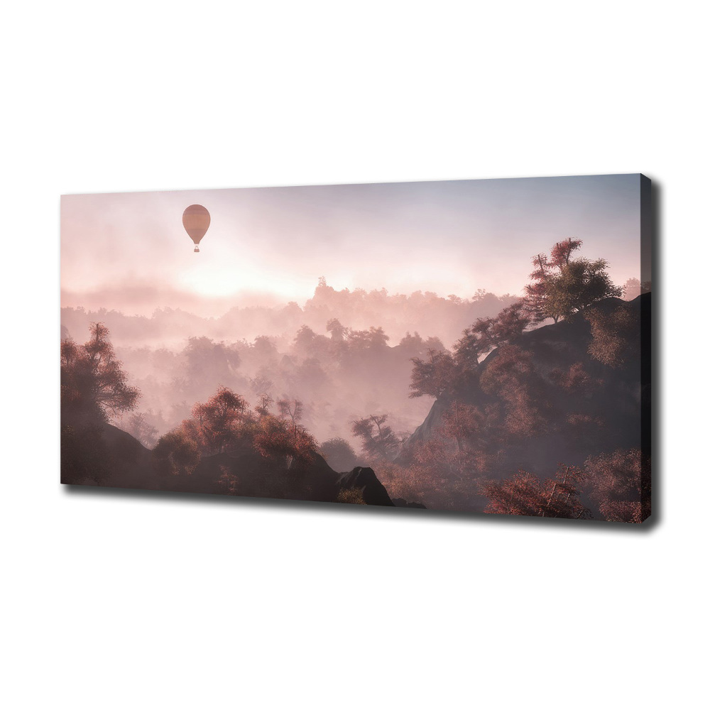 Tableau mural sur toile Ballon au-dessus de la forêt