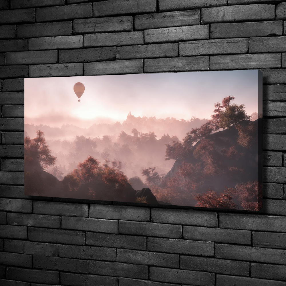 Tableau mural sur toile Ballon au-dessus de la forêt