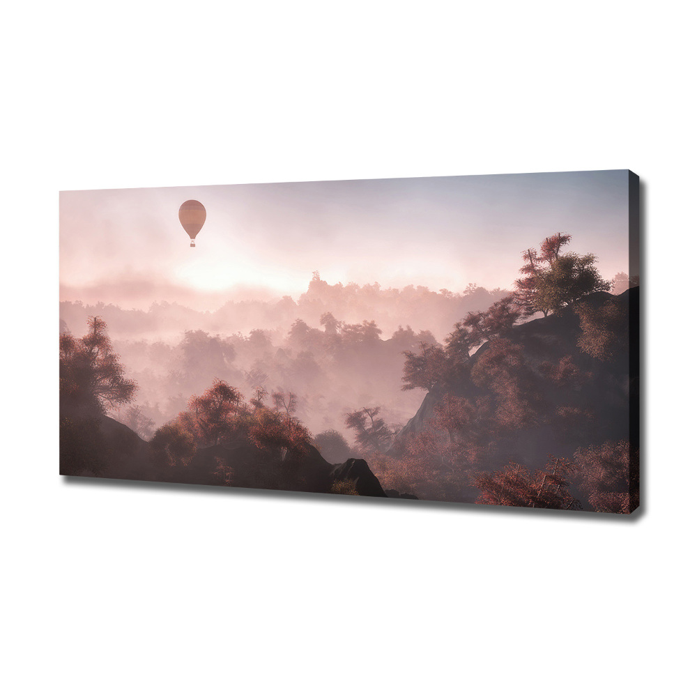 Tableau mural sur toile Ballon au-dessus de la forêt