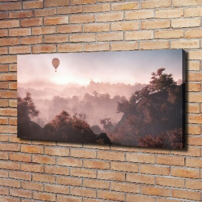 Tableau mural sur toile Ballon au-dessus de la forêt