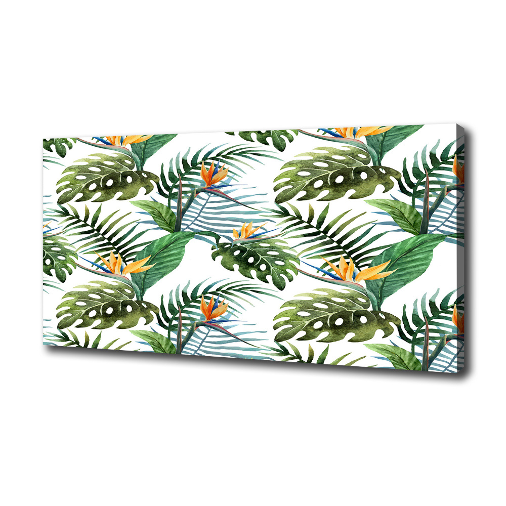 Tableau mural sur toile Feuilles de monstera exotique