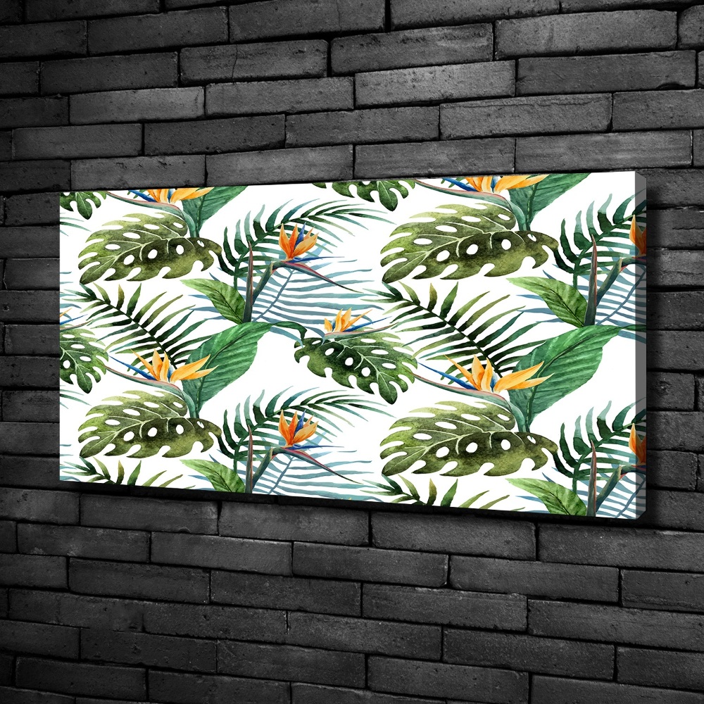 Tableau mural sur toile Feuilles de monstera exotique