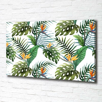 Tableau mural sur toile Feuilles de monstera exotique