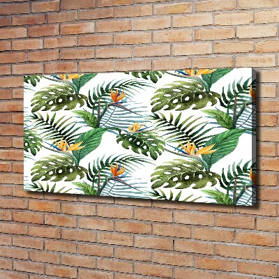 Tableau mural sur toile Feuilles de monstera exotique