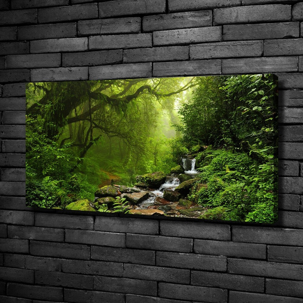 Tableau sur toile Jungle au Népal