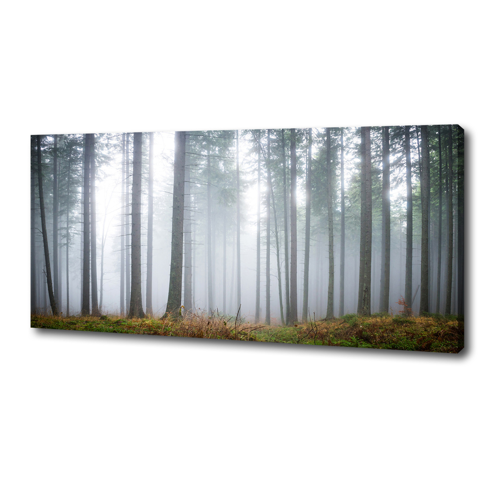 Tableau photo sur toile Brume dans la forêt