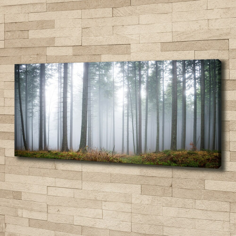 Tableau photo sur toile Brume dans la forêt