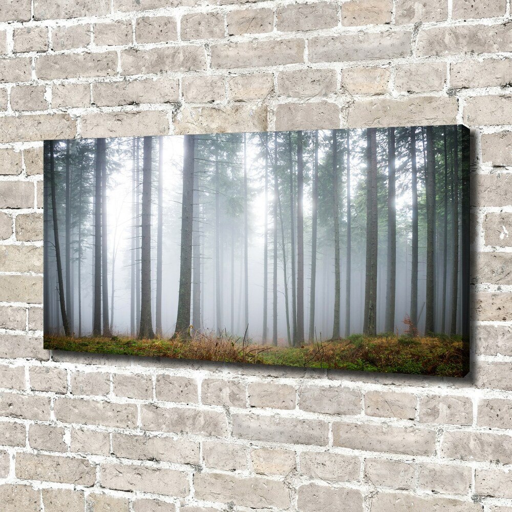 Tableau photo sur toile Brume dans la forêt