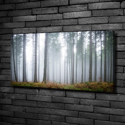 Tableau photo sur toile Brume dans la forêt