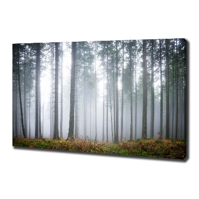 Tableau photo sur toile Brume dans la forêt