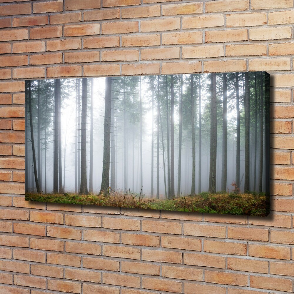 Tableau photo sur toile Brume dans la forêt