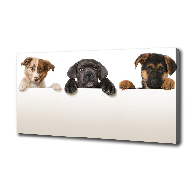 Tableau toile imprimée Trois chiots