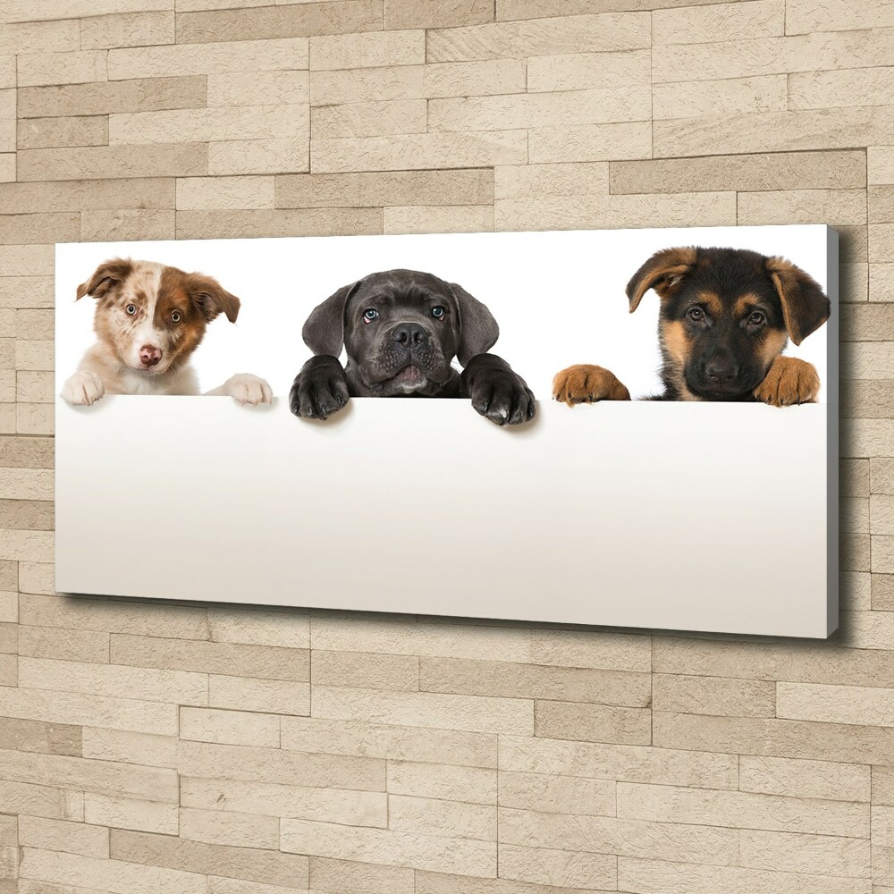 Tableau toile imprimée Trois chiots