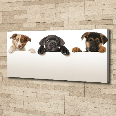 Tableau toile imprimée Trois chiots