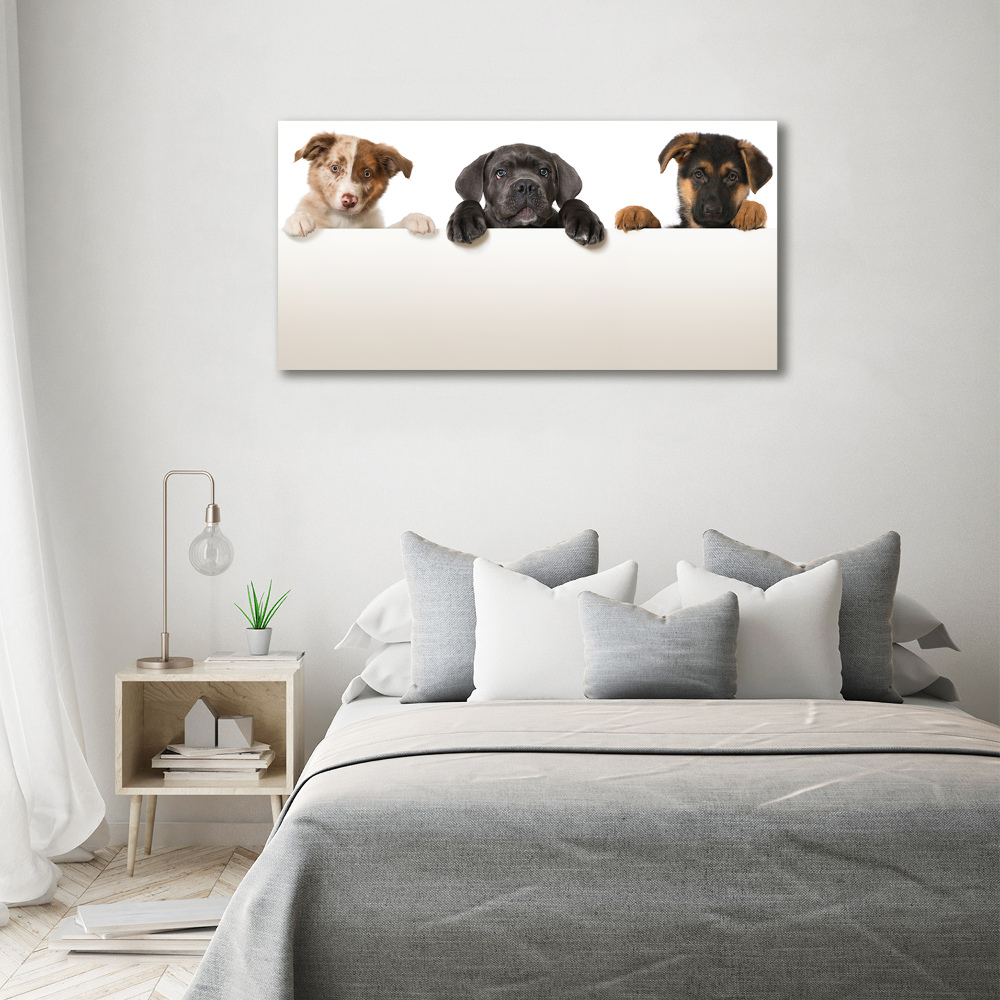 Tableau toile imprimée Trois chiots