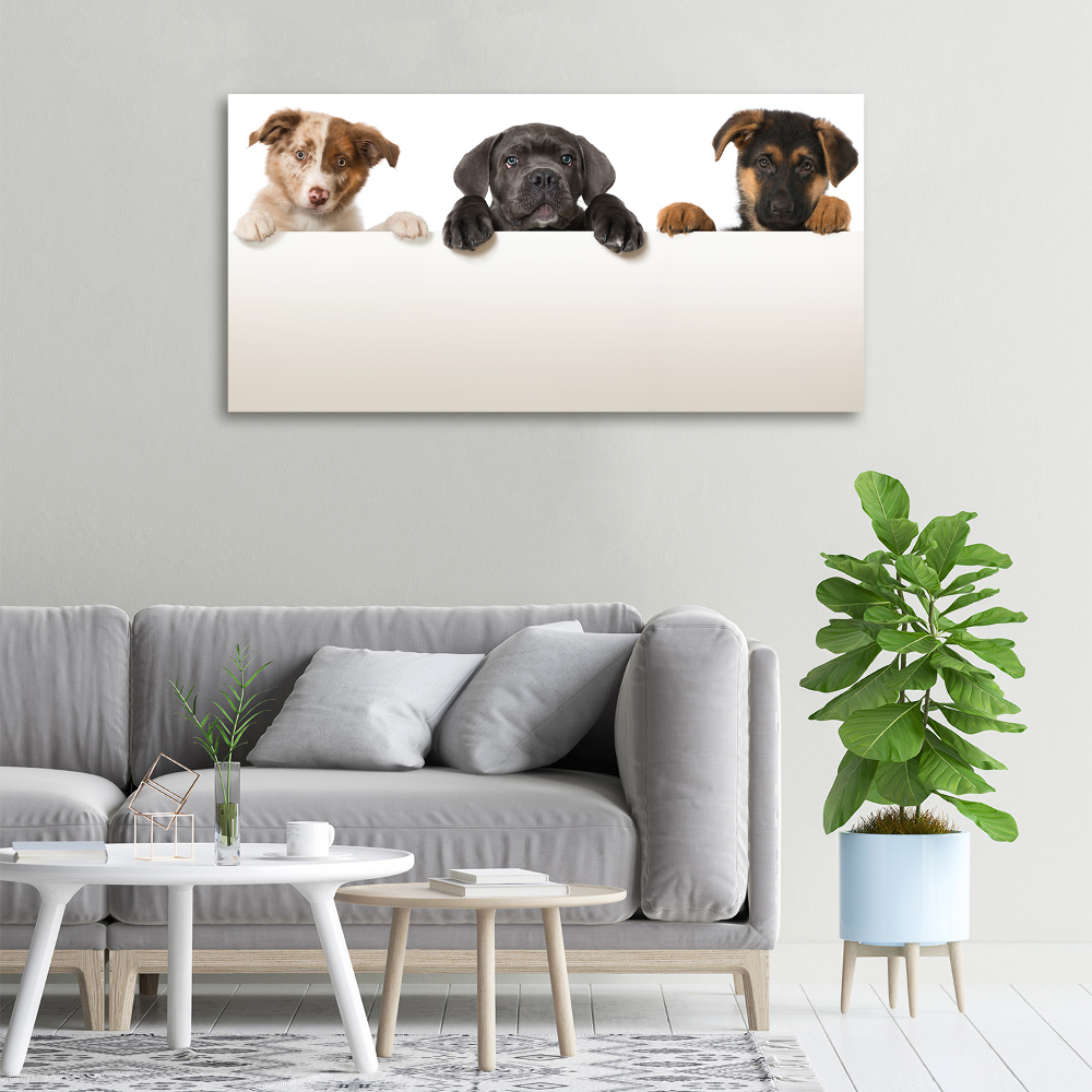 Tableau toile imprimée Trois chiots