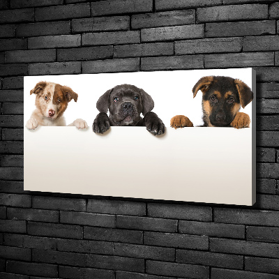 Tableau toile imprimée Trois chiots