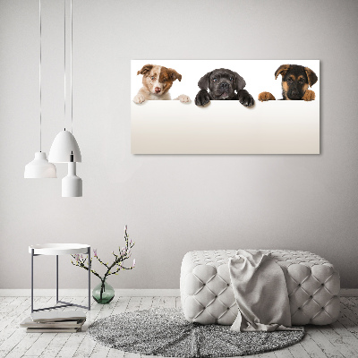 Tableau toile imprimée Trois chiots