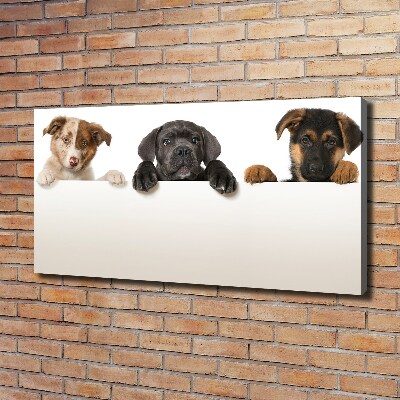 Tableau toile imprimée Trois chiots