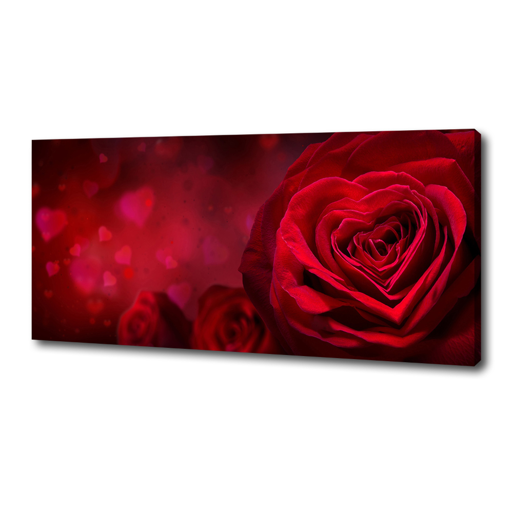 Tableau photo sur toile Rose rouge de cœur