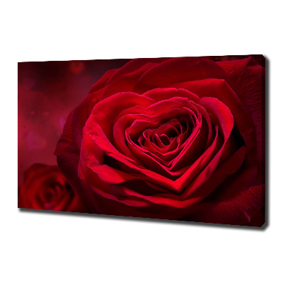 Tableau photo sur toile Rose rouge de cœur