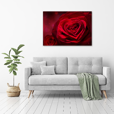 Tableau photo sur toile Rose rouge de cœur