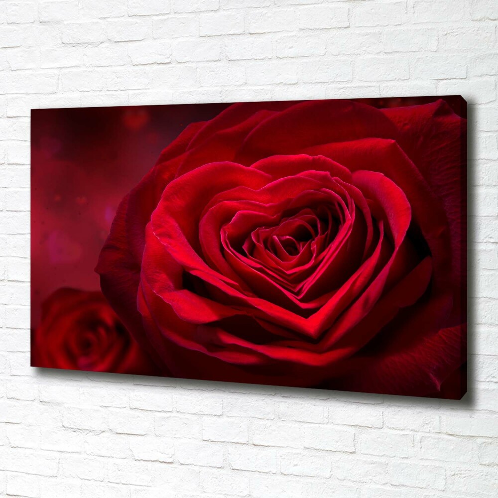 Tableau photo sur toile Rose rouge de cœur