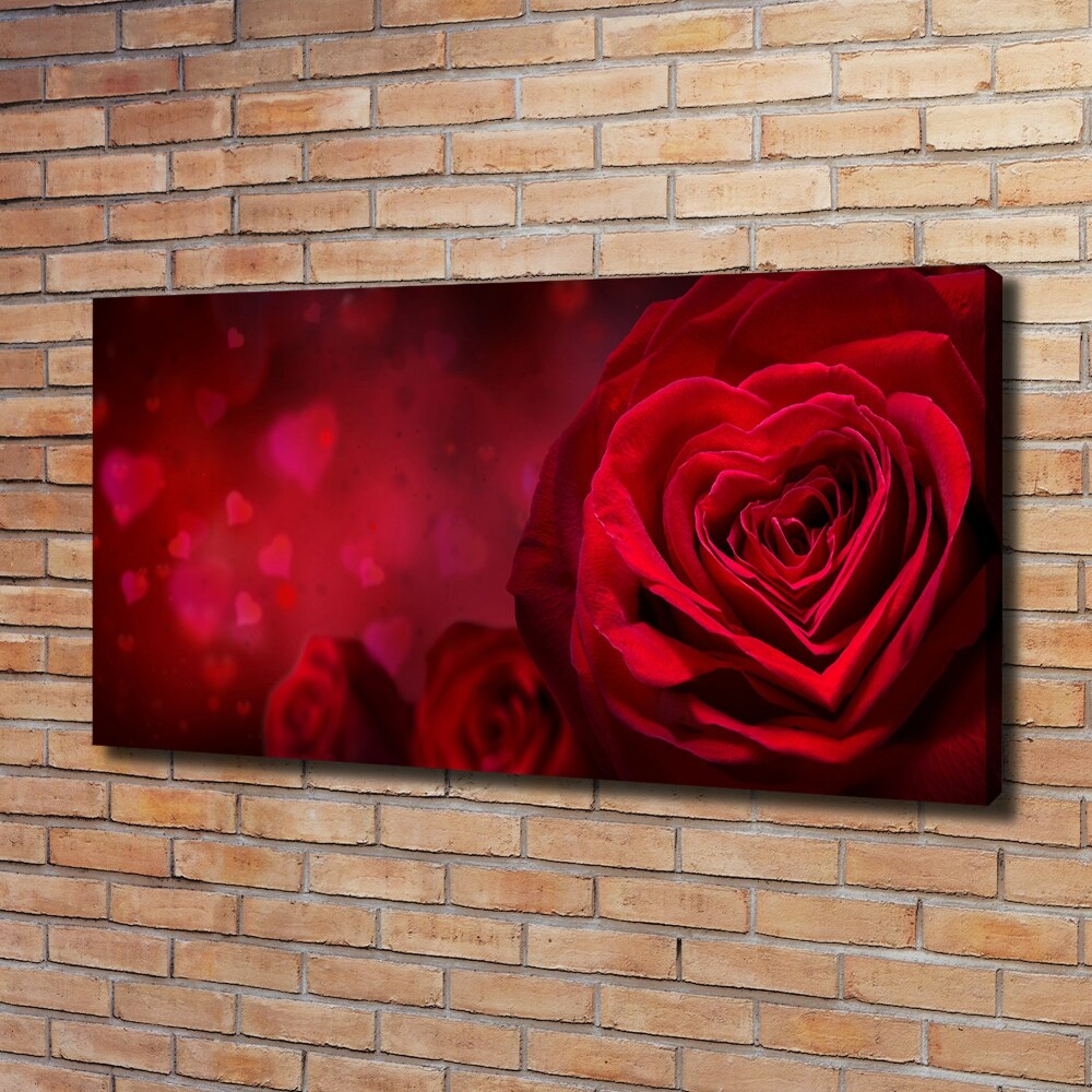 Tableau photo sur toile Rose rouge de cœur