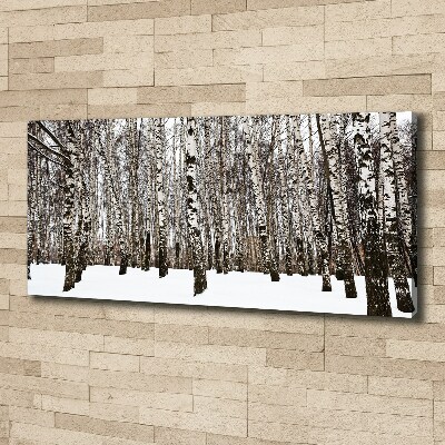 Tableau photo sur toile Bouleaux en hiver