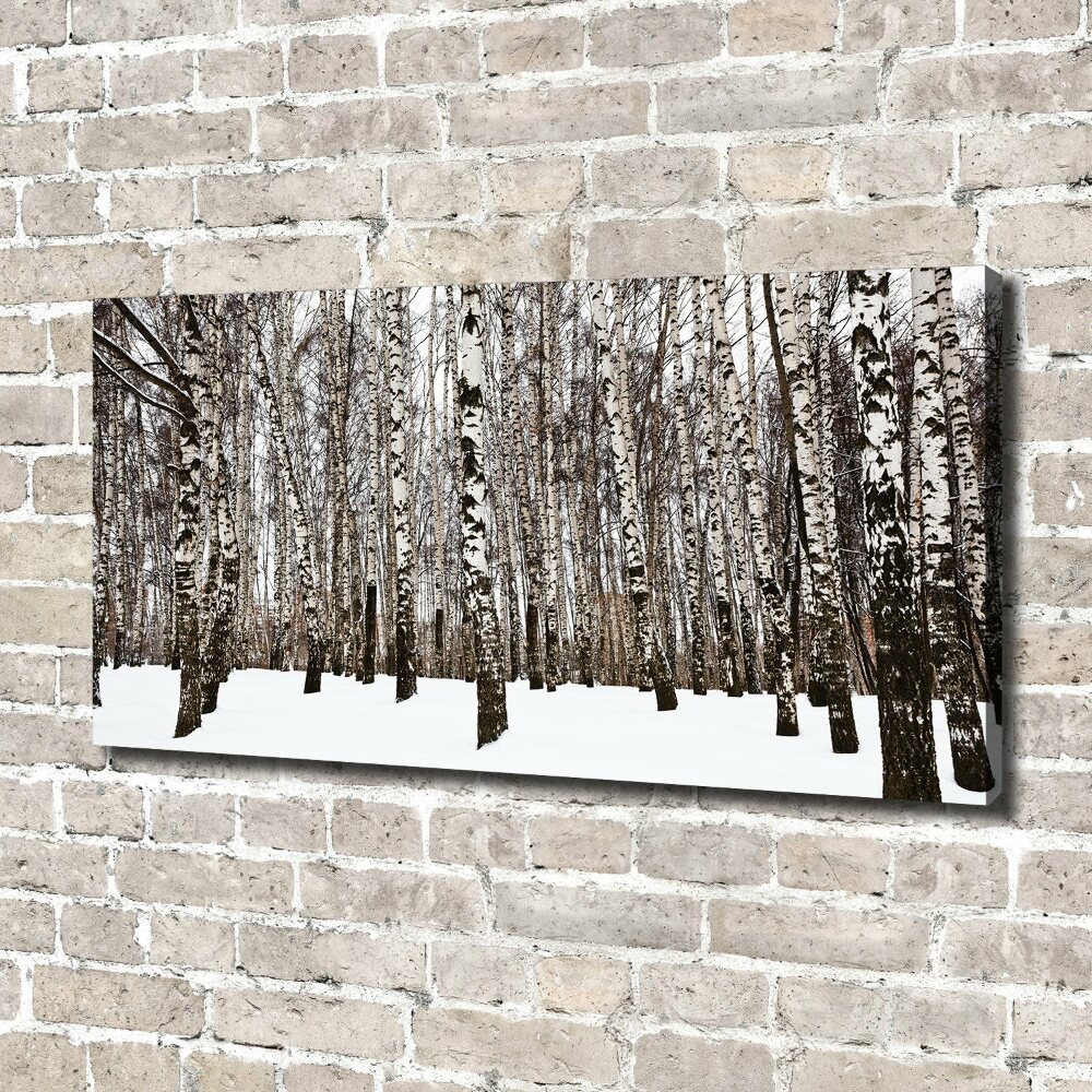 Tableau photo sur toile Bouleaux en hiver