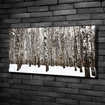 Tableau photo sur toile Bouleaux en hiver