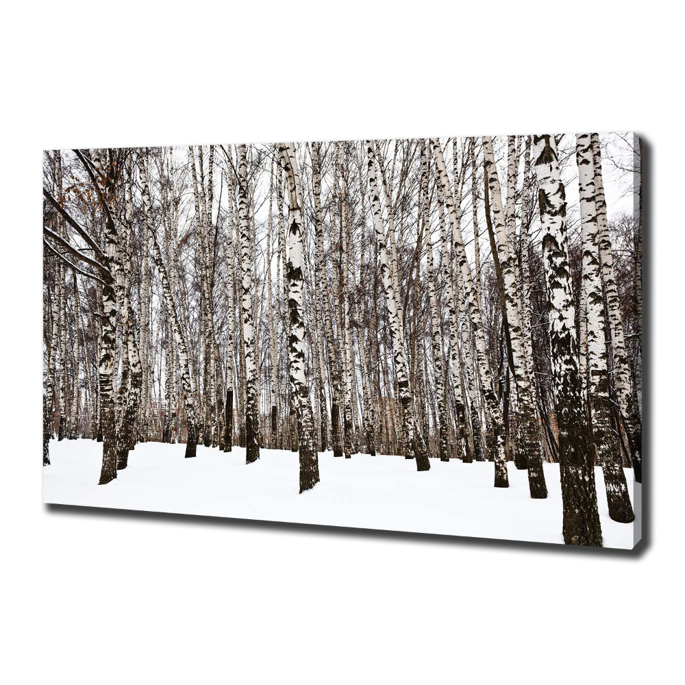 Tableau photo sur toile Bouleaux en hiver