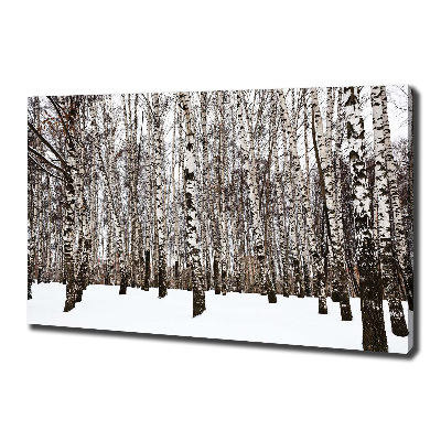 Tableau photo sur toile Bouleaux en hiver