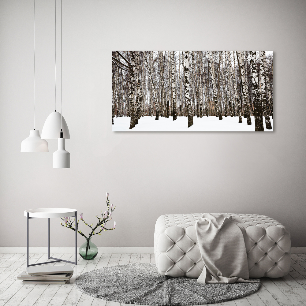 Tableau photo sur toile Bouleaux en hiver