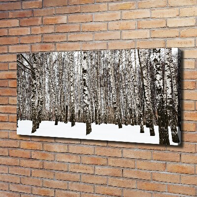 Tableau photo sur toile Bouleaux en hiver